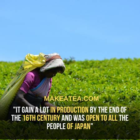 Ayataka Green Tea Gained Fame in Japan