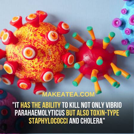Ayataka Green Tea has the Ability to fight Cholera