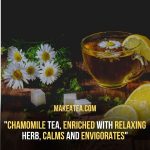 Ginger Chamomile Tea Benefits