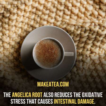 A cup of Angelica Root