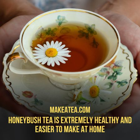 Honeybush Tea benefits are enormous