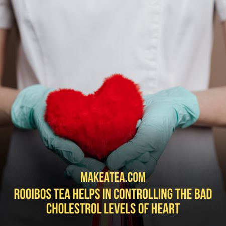 Rooibos tea controls bad cholestrol during pregnancy