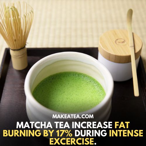 Matcha tea increase fat burning by 17% during intense exercise