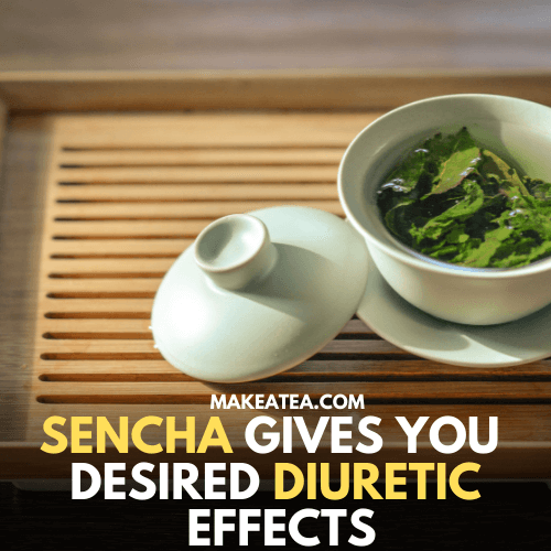 A cup of sencha green tea used as a diuretic