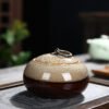 Ceramic tea pot