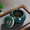 Ceramic tea pot