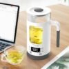 Health pot electric kettle mini multi-function glass boiled teapot tea pot
