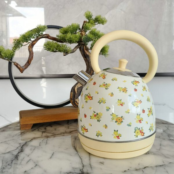 7d828aec-07cb-4795-b058-457fcf487e74.jpg Painted Paint Vintage Electric Kettle Electric Tea Burning Stainless Steel Home Appliance